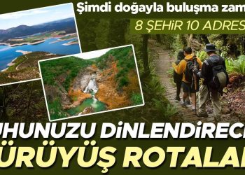 Bedenine oğlunun kanını enjekte ettirmesi olay olmuştu, şimdilerde işi ticarete döktü: 24 saatte 2500 kişi… ‘Beni şu an yaşayanların değil 25’inci yüzyıldaki insanların ne düşüneceği ilgilendiriyor’