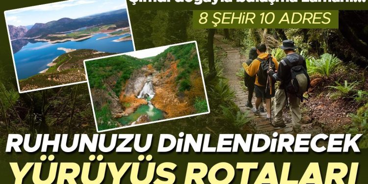 Bedenine oğlunun kanını enjekte ettirmesi olay olmuştu, şimdilerde işi ticarete döktü: 24 saatte 2500 kişi… ‘Beni şu an yaşayanların değil 25’inci yüzyıldaki insanların ne düşüneceği ilgilendiriyor’