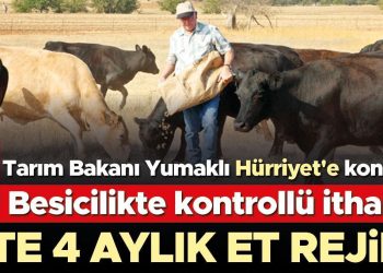 Besicilikte denetimli ithalat… Hayvan ithalatında özel kesim olmayacak hayvanlar 4 ay satılamayacak
