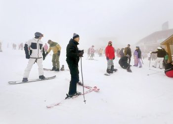 Beyaz cennette sömestr hareketliliği