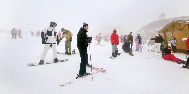 Beyaz cennette sömestr hareketliliği