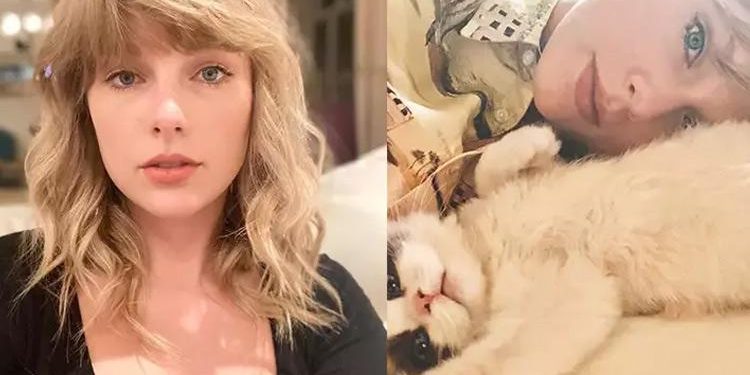 Beyaz Saray’dan birinci adım geldi… Taylor Swift’in müstehcen görsellerine yasal düzenleme