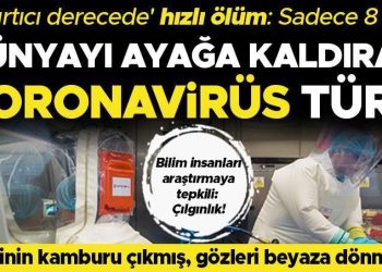 Bilim dünyasını karıştıran Koronavirüs çalışması: İnanılmaz derecede süratli vefatla sonuçlandı! ‘Bu çılgınlık geç olmadan durdurulmalı’