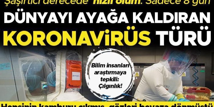 Bilim dünyasını karıştıran Koronavirüs çalışması: İnanılmaz derecede süratli vefatla sonuçlandı! ‘Bu çılgınlık geç olmadan durdurulmalı’