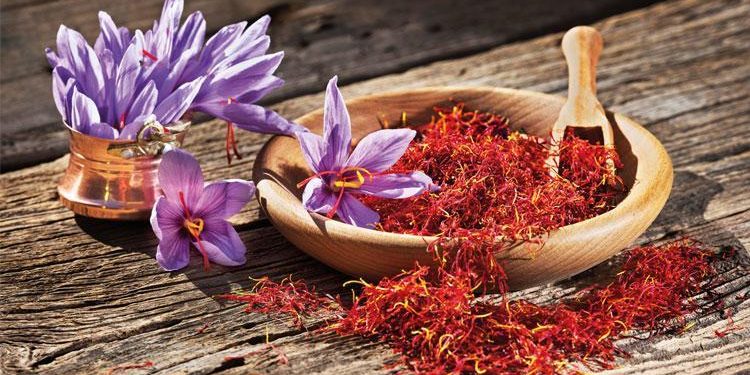 Bin yıllık safran Avrupa yolunda