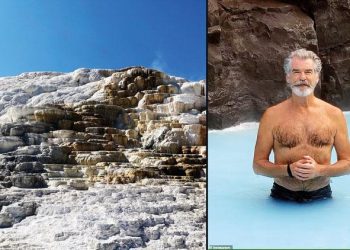 Bond’a ulusal park davası