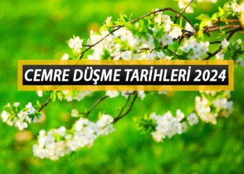 CEMRE DÜŞME TARİHLERİ 2024: Birinci cemre ne vakit düşecek? Cemreler havaya, suya, toprağa hangi tarihte düşüyor?