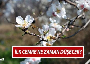 CEMRE NE VAKİT DÜŞECEK 2024? | Birinci cemre nereye, hangi tarihte düşer? Baharın habercisi olarak biliniyor… İşte cemre düşme tarihleri!