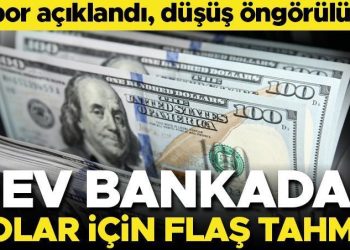 Dev bankadan dolar için flaş tahmin! Rapor açıklandı, düşüş öngörülüyor