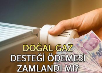 Doğalgaz yardımı ne vakit yatacak 2024, yattı mı? Bakan Göktaş muştuyu verdi! Doğalgaz dayanağı ne kadar 2024?
