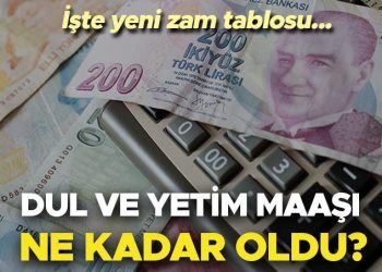 DUL VE YETİM MAAŞI 2024 TABLOSU | Yeni dul ve yetim aylığı ne kadar oldu, yüzde kaç artırım yapıldı? İşte 2024 ocak dul ve yetim maaşı hesaplama!