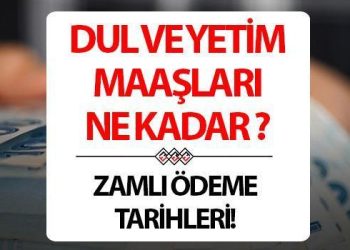 DUL VE YETİM MAAŞI NE KADAR OLDU 2024 | Dul ve yetim maaşı zamlandı mı, yüzde kaç artırım yapıldı? İşte 2024 Ocak yeni dul ve yetim aylığı!