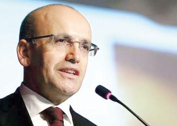 ‘Enflasyonda düşüşün başladığı yıl olacak’