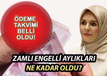 ENGELLİ MAAŞLARI 2024 NE KADAR OLDU? Bakan Göktaş artırımlı maaşları açıkladı! Artırımlı engelli maaşları ne vakit yatacak? Yüzde 40-69 ve 70 üzeri yeni engelli maaşları açıklandı!