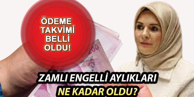 ENGELLİ MAAŞLARI 2024 NE KADAR OLDU? Bakan Göktaş artırımlı maaşları açıkladı! Artırımlı engelli maaşları ne vakit yatacak? Yüzde 40-69 ve 70 üzeri yeni engelli maaşları açıklandı!