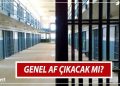 GENEL AF ÇIKACAK MI 2024 SON DURUM | 8. Yargı paketi Meclis’ten geçti mi, ne vakit yürürlüğe girecek? İnfaz düzenlemesi ayrıntısı gündemde! Gözler Resmi Gazete’de!