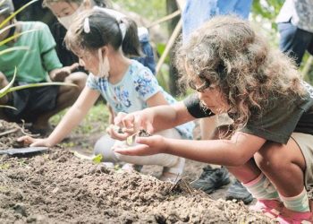 Hatay’da Bali modeliyle ekolojik sanat okulu