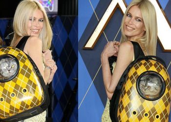 Herkes ünlü oyuncuları bırakıp onu izledi: Ünlü model kırmızı halıda kedisiyle gösteri yaptı