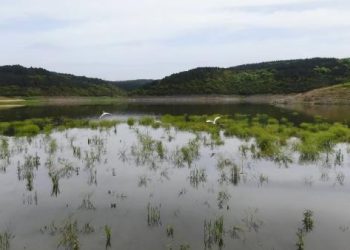 İSTANBUL BARAJ DOLULUK ORANI SON DURUM (GÜNCEL): Alibeyköy, Elmalı, Sazlıdere… İşte barajlarda yapılan son ölçümler