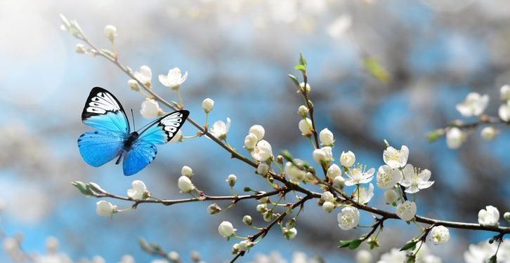 İstanbul’a kar ne vakit yağacak? Kar yağışı için kestirimler değişti… İşte, dikkat çeken tarih…