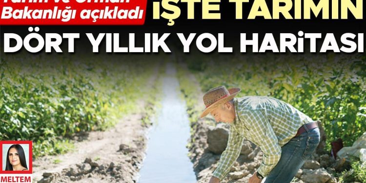 İşte tarımın dört yıllık yol haritası