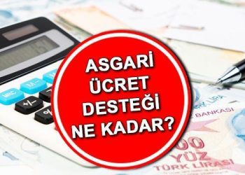 Patron taban fiyat dayanağı ne kadar oldu 2024? Minimum fiyat takviyesi kimlere verilir, nasıl alınır? Bakan Işıkhan’dan açıklama!