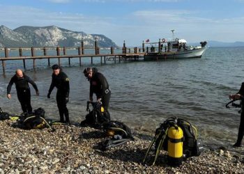 Posidonia çayırları yine hayat bulacak