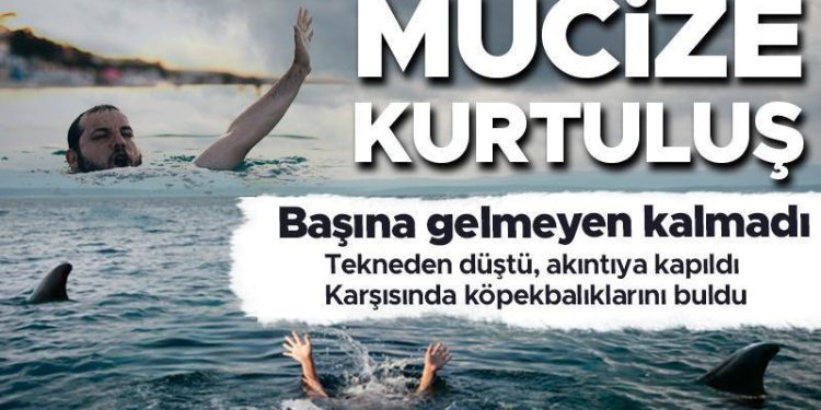 Sinema değil gerçek! Denizin ortasında başına gelmeyen kalmadı: Teknesinden düştü, akıntıya kapıldı, köpekbalıkları yanına geldi…