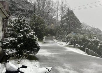 Soğuk hava dalgası Tayvan’ı vurdu! 2 günde 145 can kaybı