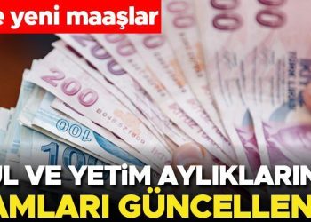 Son dakika… Dul ve yetim aylıklarının artırımları güncellendi… İşte yeni maaşlar