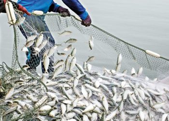 Su eserlerinde rekor üretim