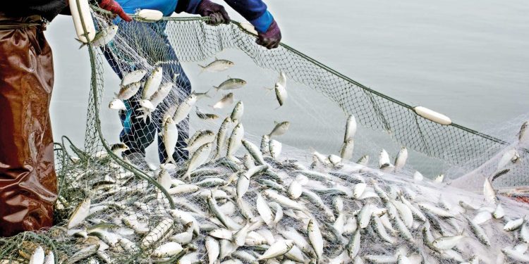 Su eserlerinde rekor üretim