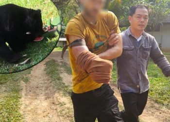 Tayland onu konuşuyor: Ayıdan kurtulmak için kendi kolunu kesti