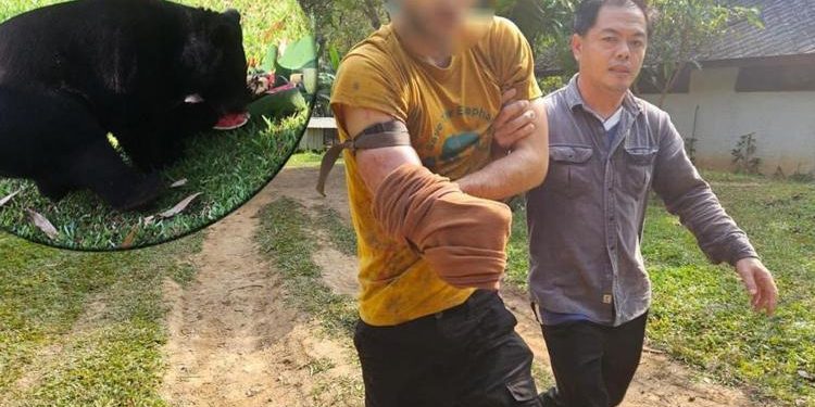 Tayland onu konuşuyor: Ayıdan kurtulmak için kendi kolunu kesti
