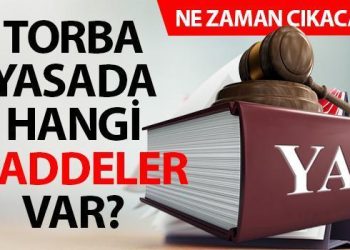 TORBA YASA NE VAKİT ÇIKACAK? (19 Ocak) | Vergi affı, kademeli emeklilik, taşerona takım ve 3600 ek gösterge muhakkak oldu mu?