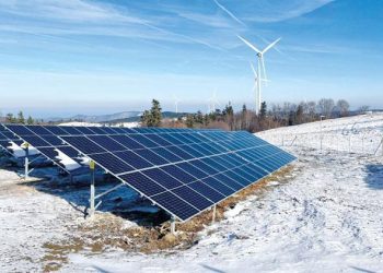 Türkiye’de birinci defa kullanılacak sistemle kuşlar tehlikeye girmeyecek: Göçmen kuşlar için radar