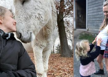 Ünlü oyuncu boş vakitlerinde halı dokuyup yorgan dikiyor.. Sessizce doğurduğu iki çocuğu samanların içinde büyüyor…  Burası benim öleceğim yer!