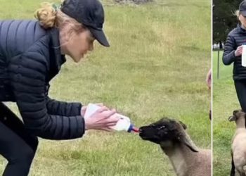 Ünlü oyuncunun bir çiftliği var, çiftliğinde minik kuzuları bile var: Kendi elleriyle besledi
