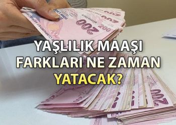 Yaşlılık maaşı farkları 2024 ne vakit yatacak? Bakan Mahinur Göktaş 65 yaş aylığı fark ödemeleri için tarih verdi!