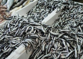 Yeni yılda vatandaşlardan hamsiye ağır ilgi