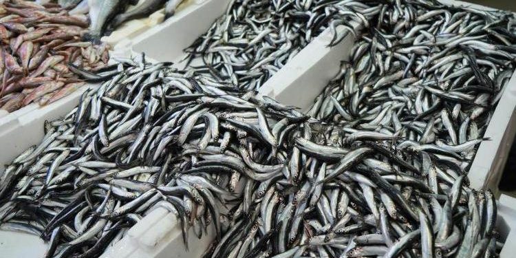 Yeni yılda vatandaşlardan hamsiye ağır ilgi