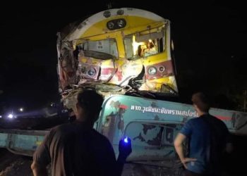 Yolcu treni hemzemin geçitteki vince çarptı