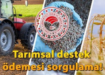 ZİRAÎ DAYANAK ÖDEMESİ 2024 SON DAKİKA: Hububat, baklagil ve dane mısır dayanağı yattı mı? Ziraî takviye ödemesi sorgulama ekranı!