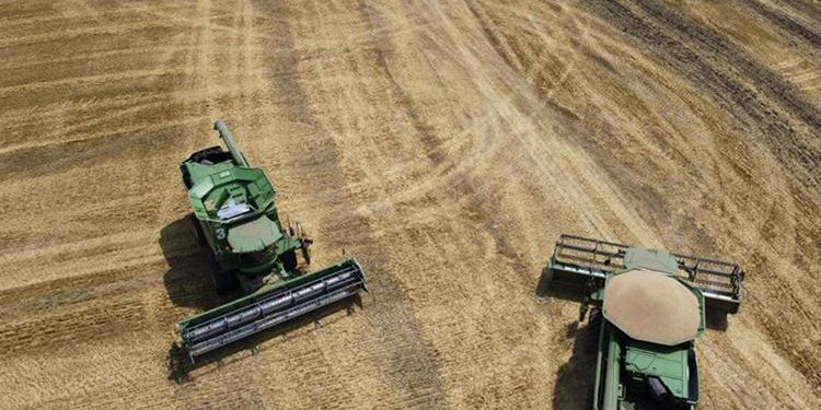 Ziraî girdi fiyat endeksi 2023’te arttı