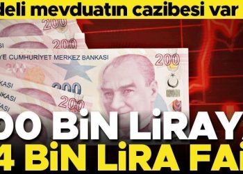 100 bin liraya 1 yılda 53 bin 890 lira faiz… Mevduat faizi cazibesini yitiriyor mu?