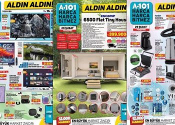 A101 aktüel 29 Şubat 2024 || A101’de bu hafta neler var? Tiny House A101 marketlerde!