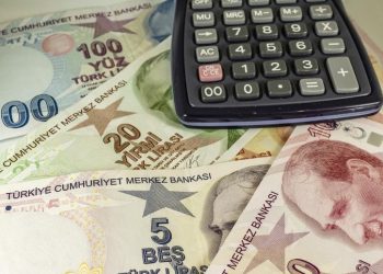 Aile dayanak ödemesi ne vakit yatacak, şubat ayında artırımlı mı ödenecek? Aile Takviye Programı ne kadar oldu, artırım yapıldı mı? İşte, e-Devlet aile takviye yardımı sorgulama ekranı