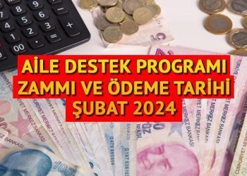 AİLE TAKVİYE ÖDEMESİ ŞUBAT ARTIRIMI SORGULAMA EKRANI 2024 || Aile Dayanak Paketi Şubat ayı ödemeleri yattı mı, bu ay artırımlı mı yatacak? Aile Takviye yardımı ne vakit verilecek, ne kadar oldu?