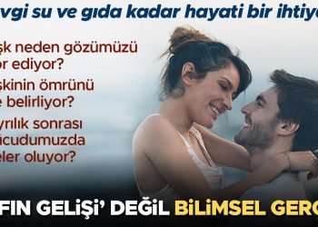 Aşk neden gözümüzü kör ediyor? Ayrılık sonrasında bedenimizde neler oluyor? Lafın gelişi değil bilimsel gerçek ‘Sevgi su ve besin kadar hayati bir ihtiyaç’