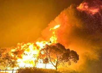 Avustralya orman yangınları ile gayret ediyor! 16 bin hektarlık alan küle döndü